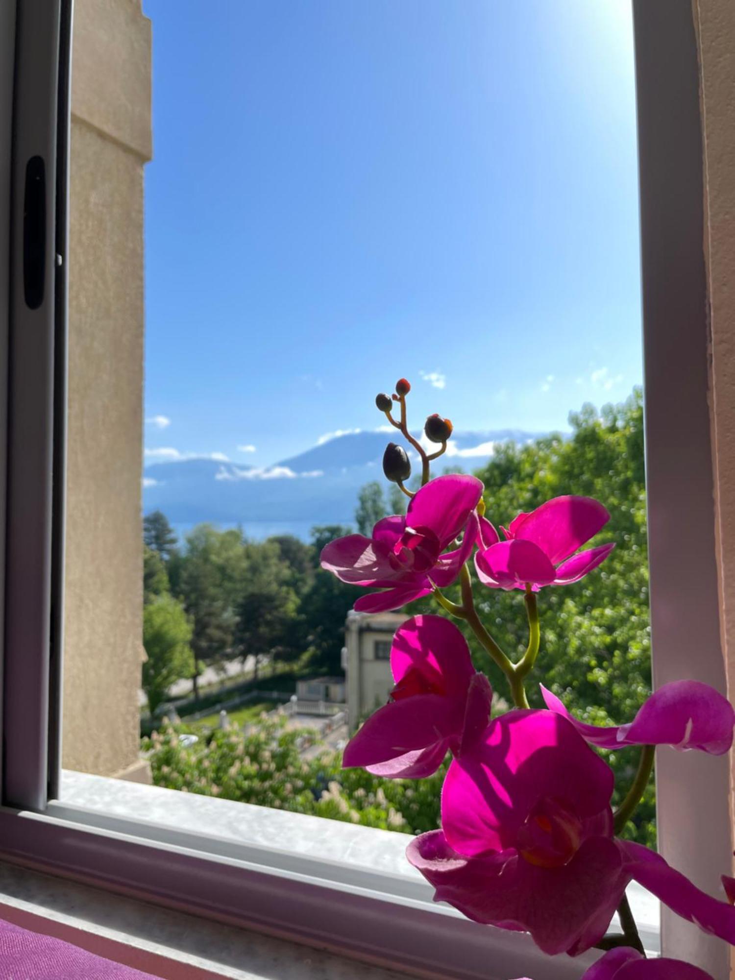 Lake View 波格拉德茨 外观 照片